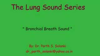 Breath Sound  Bronchial vs Vesicular [upl. by Norod693]