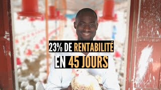 23 de rentabilité en 45 Jours  ELEVAGE DE POULETS  Le meilleur business à faire en Afrique [upl. by Lesya]