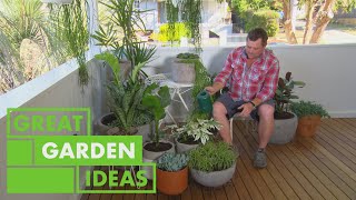 How to Grow and Care for Potted Plants  GARDEN  Great Home Ideas [upl. by Anuat]