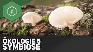 Symbiose – Ökologie 5 [upl. by Mckenzie]