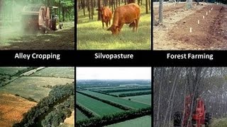 Introduction to Agroforestry Systems [upl. by Mossberg]