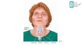 Thyroid Physiology [upl. by Betz]