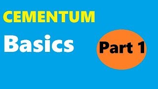 Cementum  Part 1 BASICS [upl. by Madda]