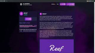 REEFs Path to Crypto Dominance Your REEF Prize Awaits [upl. by Atnwahs]