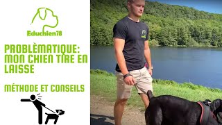 Mon chien tire en laisse comment le faire arrêter  Méthode et conseils [upl. by Osugi228]