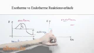 Exotherme vs Endotherme Reaktionsverläufe [upl. by Joleen]