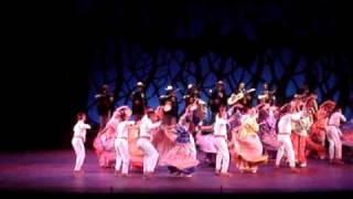 NAYARIT BALLET FOLCLORICO DE LA UNIVERSIDAD DE GUADALAJARA [upl. by Aiciled256]