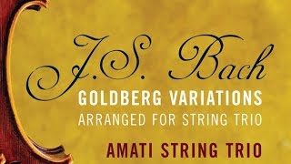 JS Bach Goldberg Variations for String Trio [upl. by Dumond]