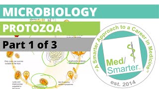 Protozoa  Microbiology  USMLE STEP 1  Part 1 of 3 [upl. by Icnarf19]