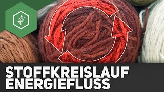 Stoffkreisläufe und Energiefluss  Ökologie [upl. by Artemahs233]