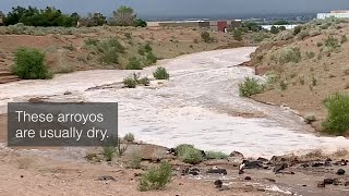 Torrential Rains Flash Flooding in Albuquerque NM Arroyo Video [upl. by Idmann142]