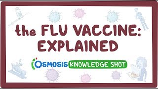 The flu vaccine explained [upl. by Ytineres907]