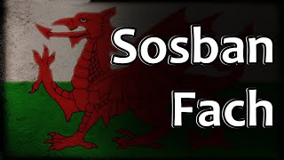 Welsh Folk Song  Sosban Fach [upl. by Rosner]