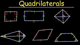 Quadrilaterals  Geometry [upl. by Sined]