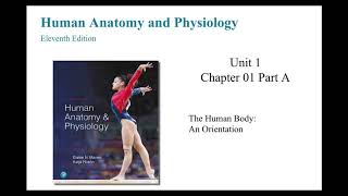 Anatomy and Physiology Chapter 1 The Human Body An Orientation Part A [upl. by Aramak]