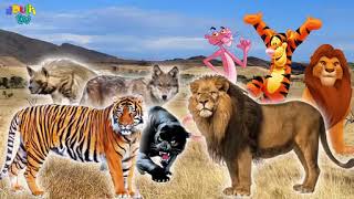 wild animals drulii tv finger family [upl. by Anavi]