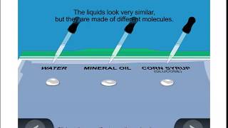 Second Grade Lesson 21 Liquids have Properties [upl. by Fleda]