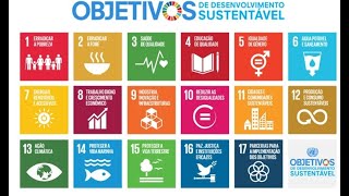 Agenda 2030  Objetivos de Desenvolvimento Sustentável [upl. by Bridge588]