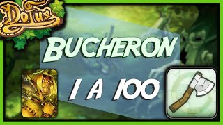 Bucheron 1 a 100 Dofus Retro  Tout savoir [upl. by Ennovyhs]