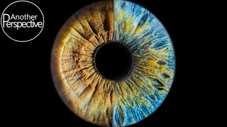 Eye Photography  How to take a sharp Image of your Iris [upl. by Ahsinan]