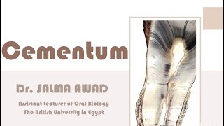 Cementum [upl. by Etnaud]