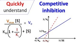 Competitive inhibition [upl. by Teiluj674]