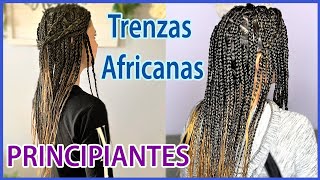 TRENZAS AFRICANAS CON EXTENSIONES  Principiantes [upl. by Ssej]