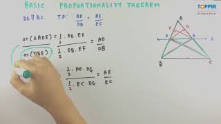 Basic Proportionality Theorem [upl. by Yttel]