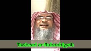 Three types of Tawheed Tawheed Ruboobiya Tawheed Uloohiya Tawheed Asma wa Sifat  Assim al hakeem [upl. by Dlorrej216]