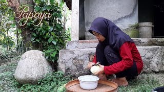 Masak di Desa  Sayur Lodeh Pepaya Papaya [upl. by Ahsikin]