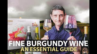 10Minute Guide to Burgundy  Fine Wines from Bourgogne Part1 [upl. by Bambie]