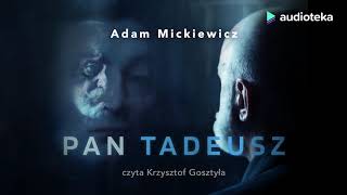 Adam Mickiewicz quotPan Tadeuszquot  audiobook [upl. by Donia750]