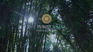 The Purist Villas Ubud Bali  A Luxury Design Resort In Paradise [upl. by Tacklind825]