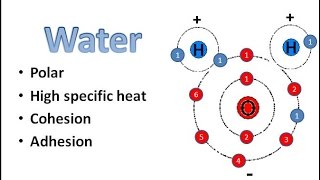 Water Chemistry [upl. by Gal]