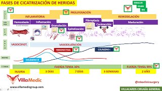 FASES DE LA CICATRIZACIÓN DE HERIDAS BY mbaclinicsurgery [upl. by Leund]