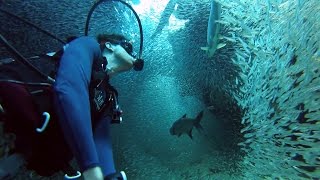 GoPro Enchanting Scuba Dive with 1 Million Fish [upl. by Grados]