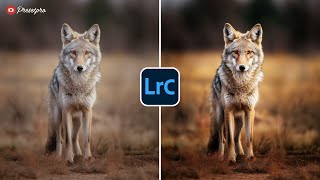 FREE Lightroom Preset quotWildlifequot Before amp After [upl. by Neoma]