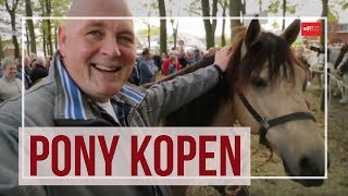 Pony kopen op de Zuidlaardermarkt  handjeklap paardenmarkt  RTV Noord [upl. by Ellenhoj]