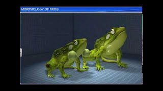 CBSE Class 11 Biology  Morphology of Frog  By Shiksha House [upl. by Aronel649]