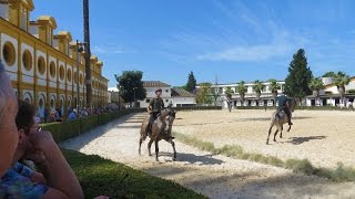 Jerez de la Frontera Spain  Andalusian Horse show museum beautiful grounds [upl. by Keelin872]