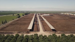 California’s Central Valley Vanden Berge Dairy [upl. by Tiffa]