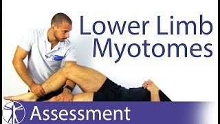 Myotomes Lower Limb  Peripheral Neurological Examination [upl. by Ano]