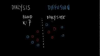 Dialysis Basics [upl. by Dami265]