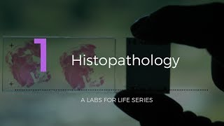 Histopathology [upl. by Nedarb]