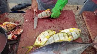 Awesome Tiger Trevally Fish Fillet।Colorful Trevally Fish Cutting Skills। Trevally Fish Cutting Ways [upl. by Adnarrim339]