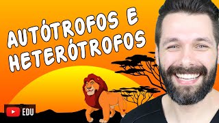 ORGANISMOS AUTÓTROFOS E HETERÓTROFOS  Biologia com Samuel Cunha [upl. by Anaicul]