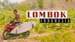 SURFING in LOMBOK 🇮🇩 Indonesia [upl. by Nnayelsel]