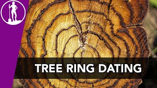 Dendrochronology Tree Ring Dating  Archaeological Dating Techniques [upl. by Eelyam]