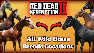 All Wild Horse Breed Locations in Red Dead Redemption 2 [upl. by Reich]