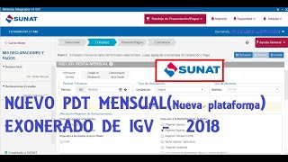 Declaración mensual régimen especial exonerado de IGV  Sunat 2019 [upl. by Locin536]